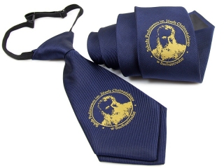Tie and tie on elastic band with woven logo